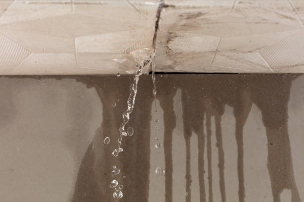 Professional Structural Drying technician working in Kellogg, MN